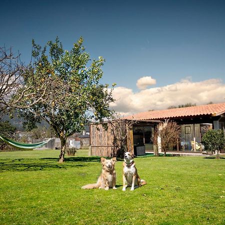 Casa Barros Tui Exterior foto